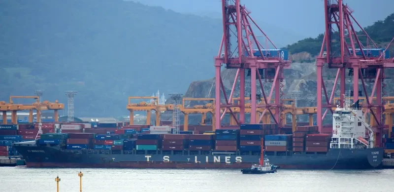 APOLLON D Container Ship IMO 9360697 photo 6