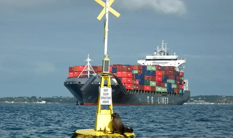 APOLLON D Container Ship IMO 9360697 photo 9
