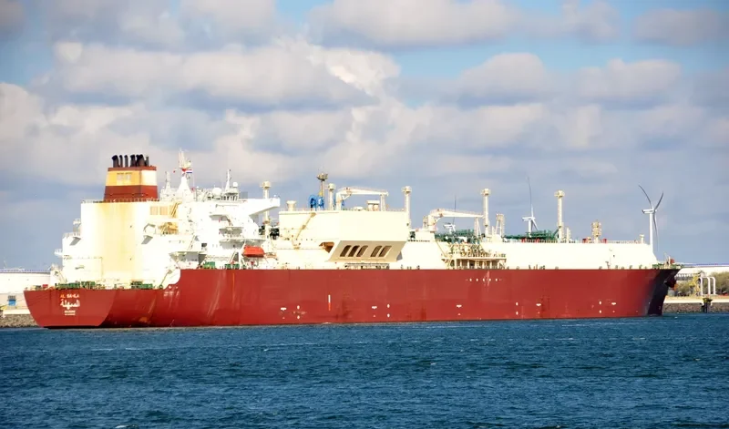 AL SAHLA General Cargo IMO 9360855 photo 5