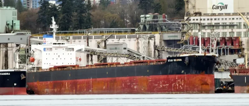 STAR GEORGIA Bulk Carrier IMO 9361196 photo 2