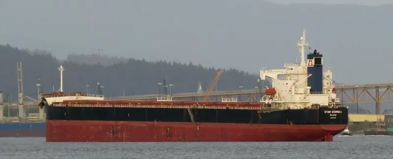 STAR GEORGIA Bulk Carrier IMO 9361196 photo 5