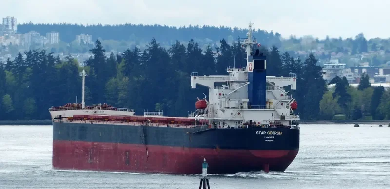 STAR GEORGIA Bulk Carrier IMO 9361196 photo 8