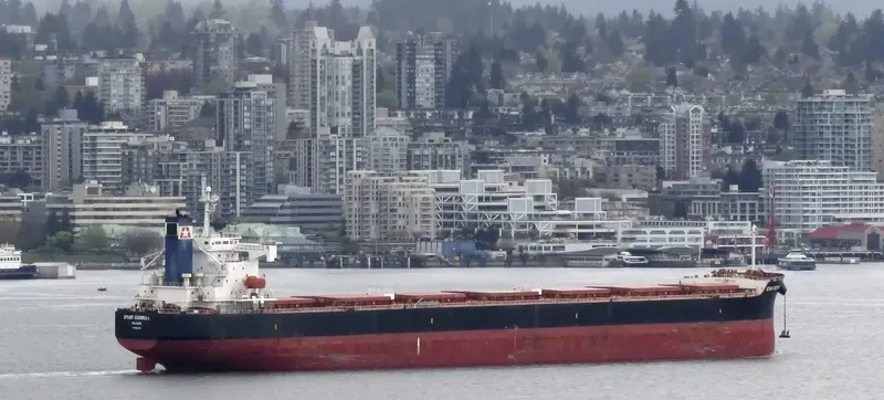 STAR GEORGIA Bulk Carrier IMO 9361196 photo 9
