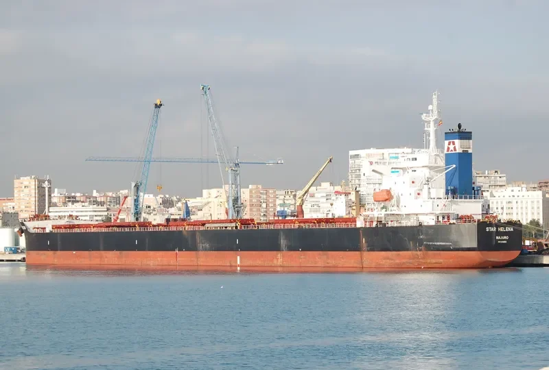 STAR HELENA Bulk Carrier IMO 9361213 photo 3