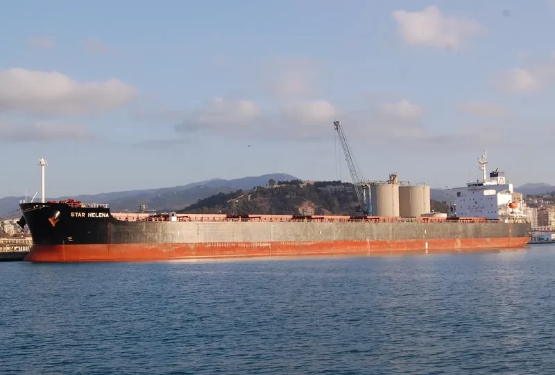 STAR HELENA Bulk Carrier IMO 9361213 photo 5