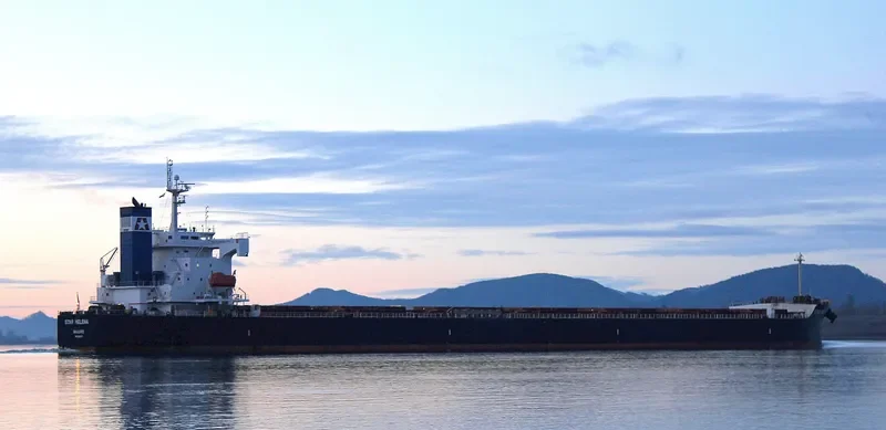 STAR HELENA Bulk Carrier IMO 9361213 photo 6