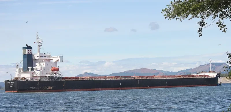 STAR MOIRA Bulk Carrier IMO 9361225 photo 3