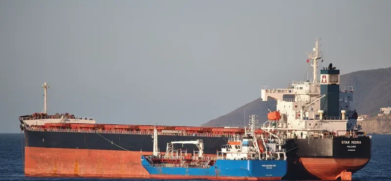 STAR MOIRA Bulk Carrier IMO 9361225 photo 7