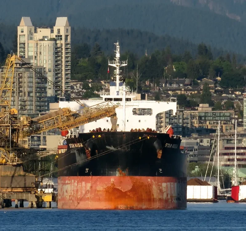 STAR NASIA Bulk Carrier IMO 9361237 photo 2