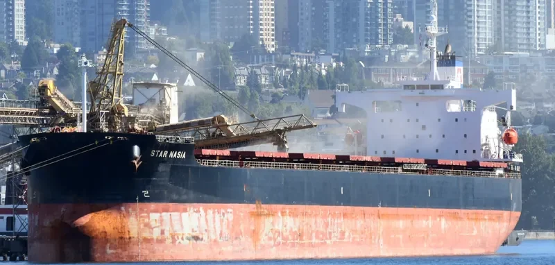 STAR NASIA Bulk Carrier IMO 9361237 photo 3
