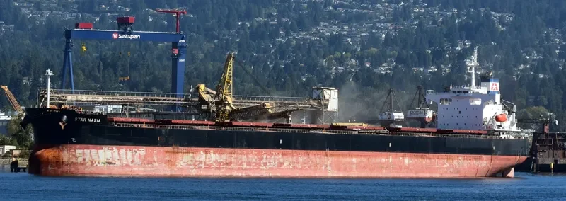 STAR NASIA Bulk Carrier IMO 9361237 photo 4