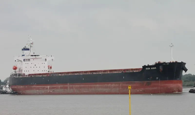 STAR NASIA Bulk Carrier IMO 9361237 photo 10