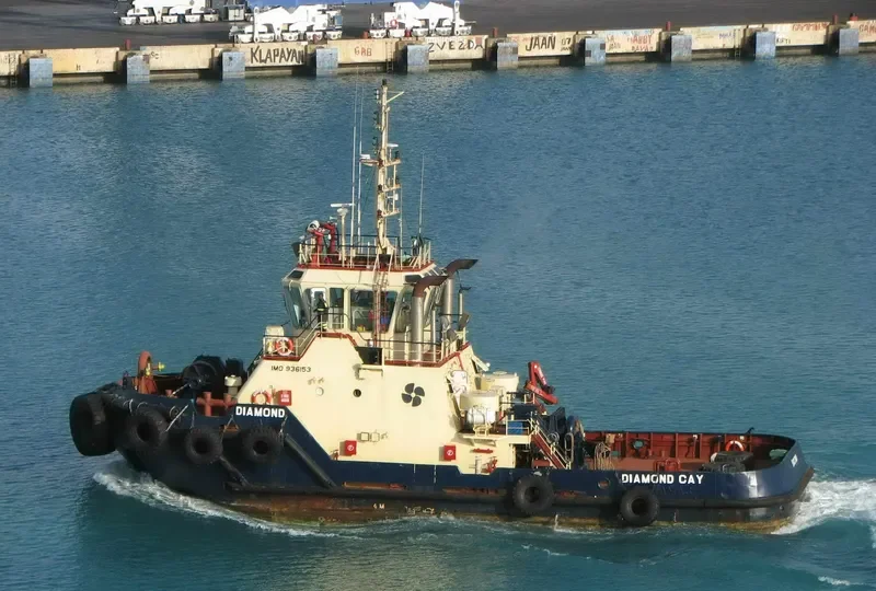DIAMOND CAY General Cargo IMO 9361536 photo 5