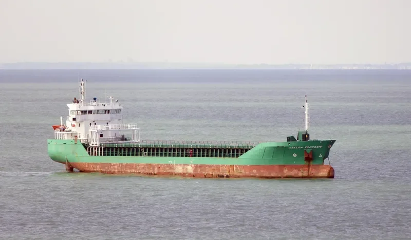 ARKLOW FREEDOM Container Ship IMO 9361756 photo 6