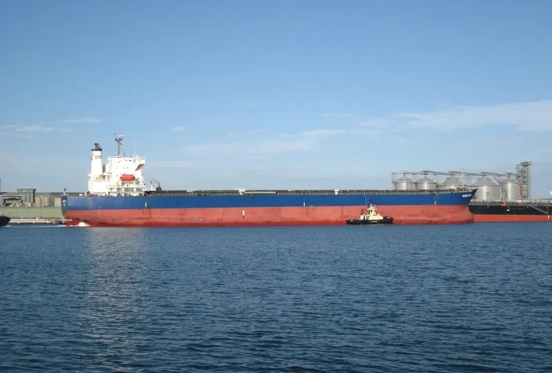 BULK XAYMACA Bulk Carrier IMO 9362190 photo 3
