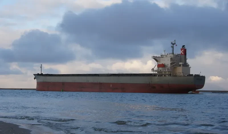 BULK XAYMACA Bulk Carrier IMO 9362190 photo 10