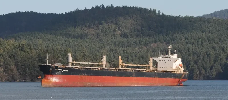 AKIJ GLORY Bulk Carrier IMO 9362205 photo 10