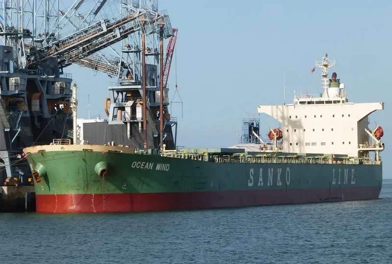 NEW EMPEROR Bulk Carrier IMO 9362229 photo 9