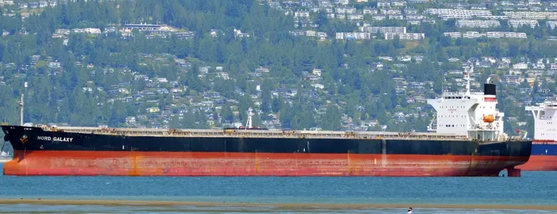 NORD GALAXY Bulk Carrier IMO 9362231 photo 4