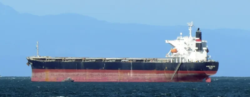 NORD GALAXY Bulk Carrier IMO 9362231 photo 5