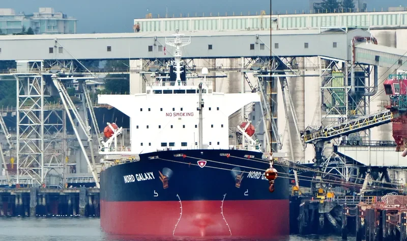 NORD GALAXY Bulk Carrier IMO 9362231 photo 8