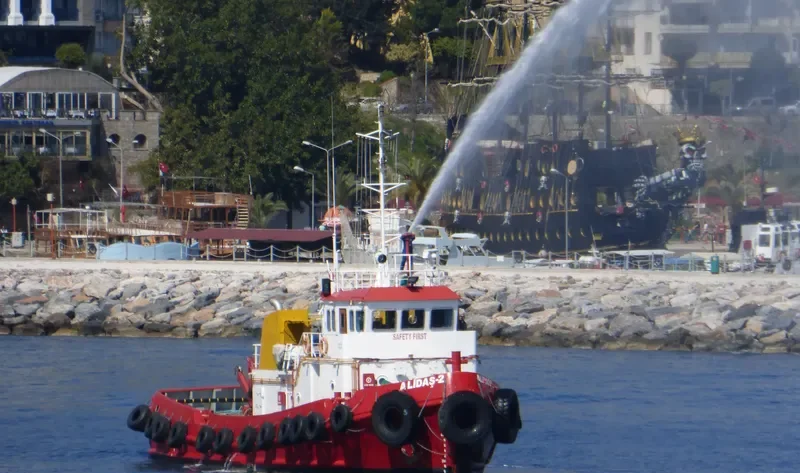 ALIDAS 2 General Cargo IMO 9362451 photo 2