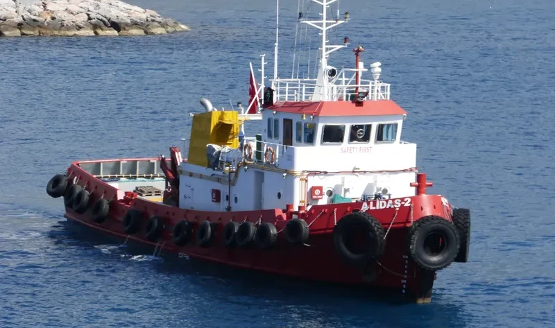 ALIDAS 2 General Cargo IMO 9362451 photo 3