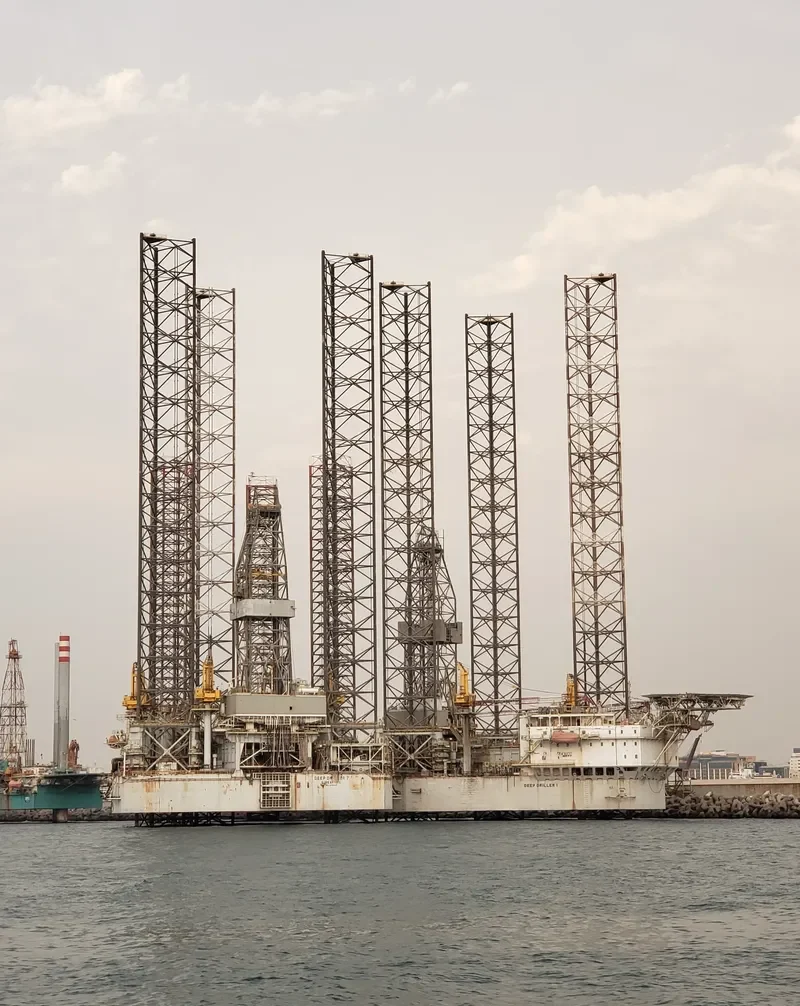 DEEP DRILLER 1 General Cargo IMO 9362578