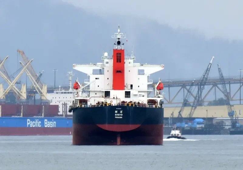 LENI Bulk Carrier IMO 9362982 photo 2