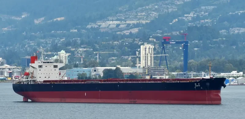 LENI Bulk Carrier IMO 9362982 photo 3