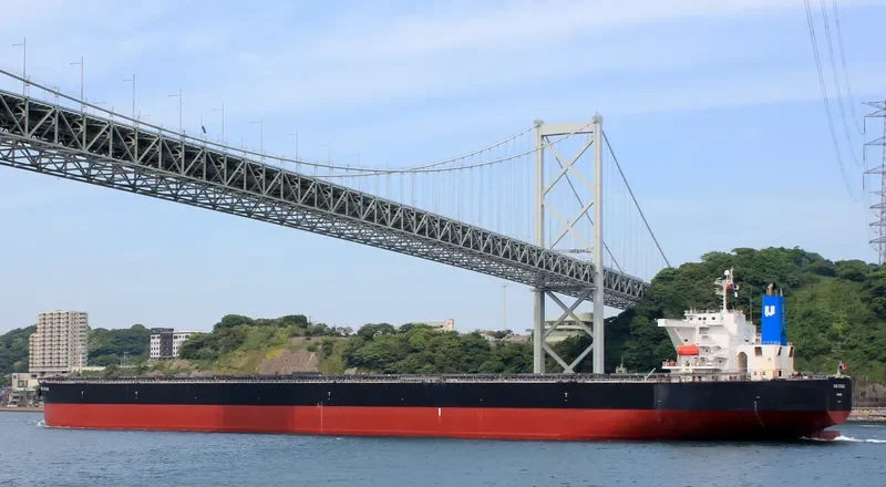 SMYRNA Bulk Carrier IMO 9363003