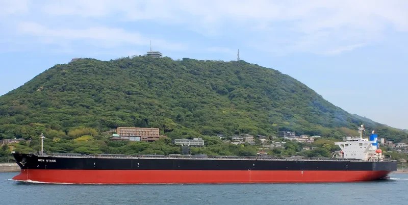 SMYRNA Bulk Carrier IMO 9363003 photo 2