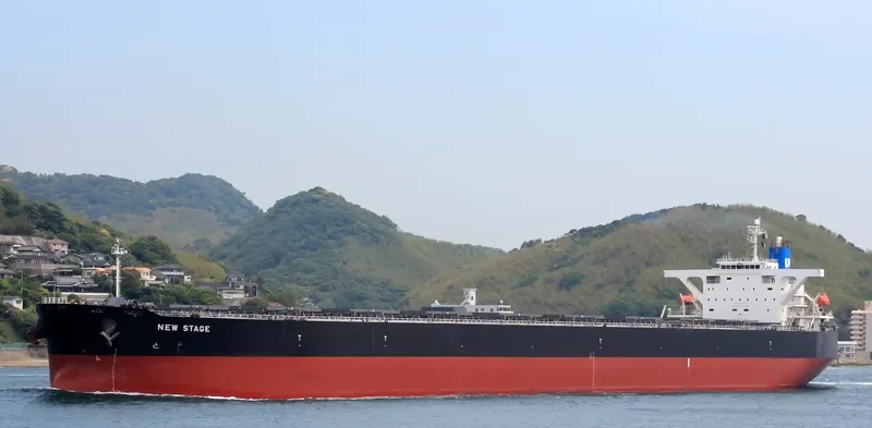 SMYRNA Bulk Carrier IMO 9363003 photo 3