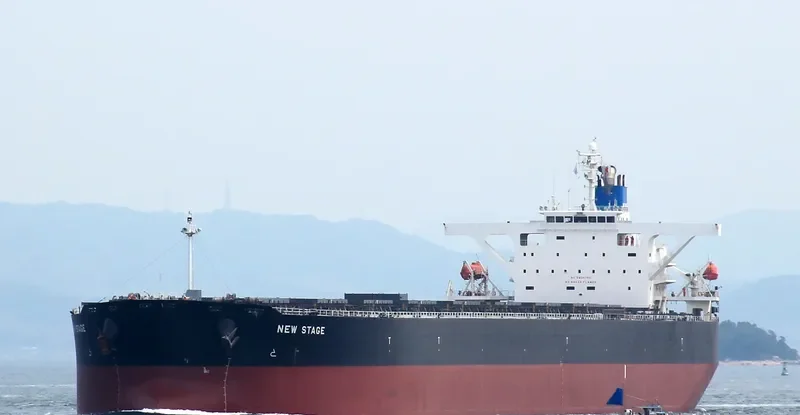 SMYRNA Bulk Carrier IMO 9363003 photo 5