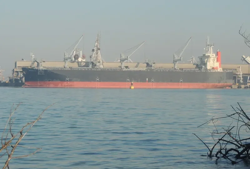 SHEARWATER Bulk Carrier IMO 9363091