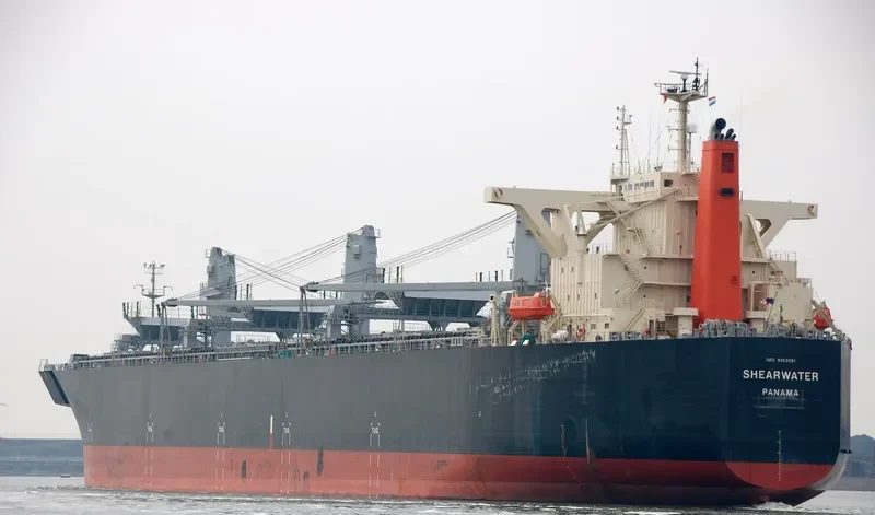 SHEARWATER Bulk Carrier IMO 9363091 photo 2