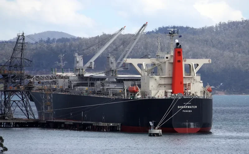 SHEARWATER Bulk Carrier IMO 9363091 photo 5