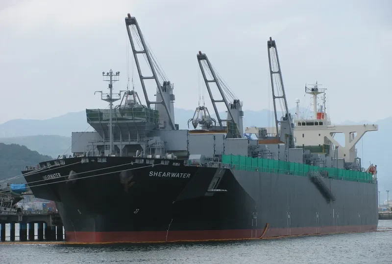 SHEARWATER Bulk Carrier IMO 9363091 photo 6