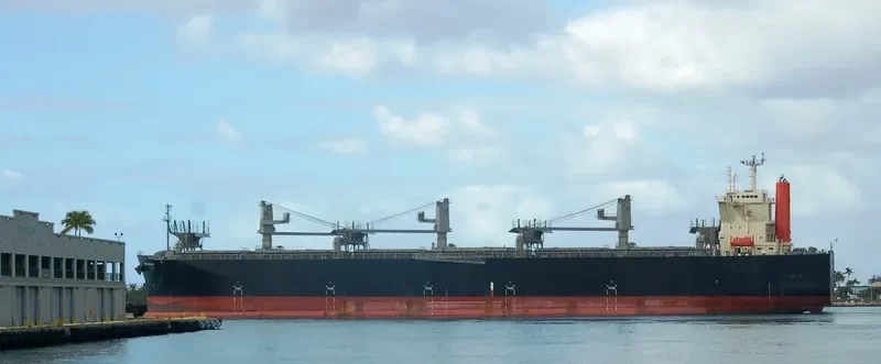 NINE FRONTIER Bulk Carrier IMO 9363106 photo 2
