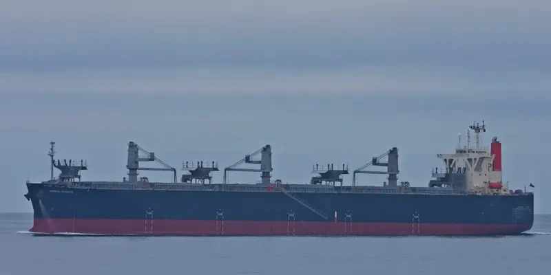 CRYSTAL PIONEER Bulk Carrier IMO 9363118 photo 3