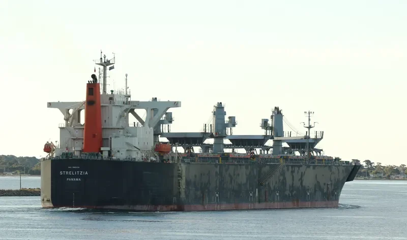 STRELITZIA Bulk Carrier IMO 9363120