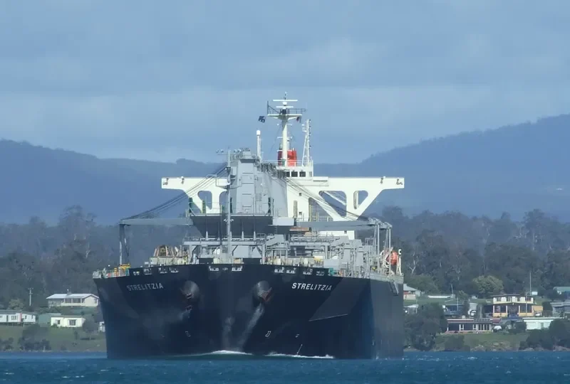 STRELITZIA Bulk Carrier IMO 9363120 photo 3