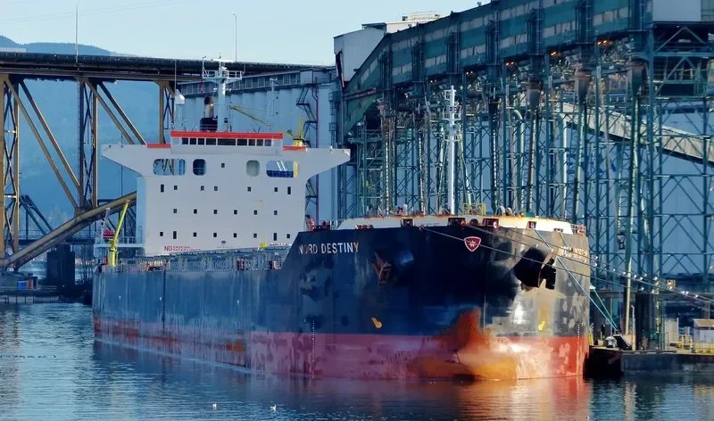 IOLE R Bulk Carrier IMO 9363132 photo 2