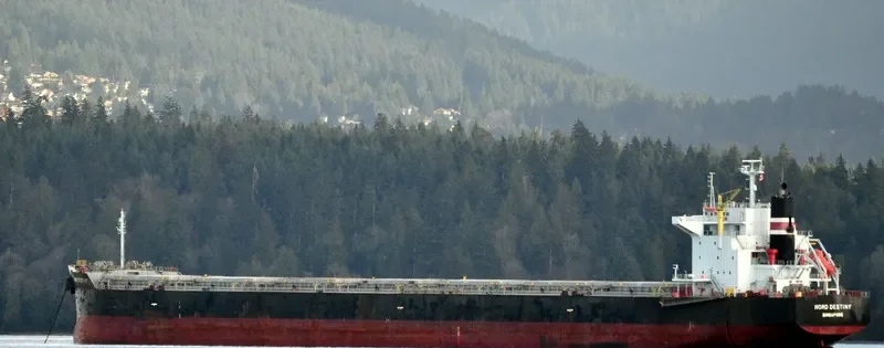 IOLE R Bulk Carrier IMO 9363132 photo 6