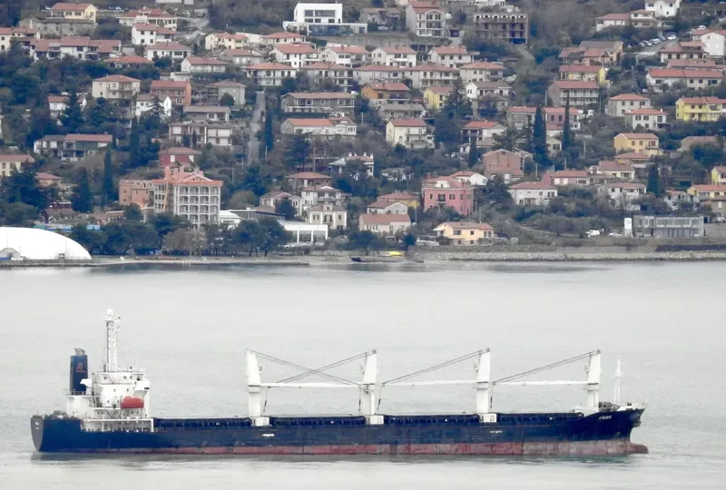 ATALANTE Bulk Carrier IMO 9363168 photo 2