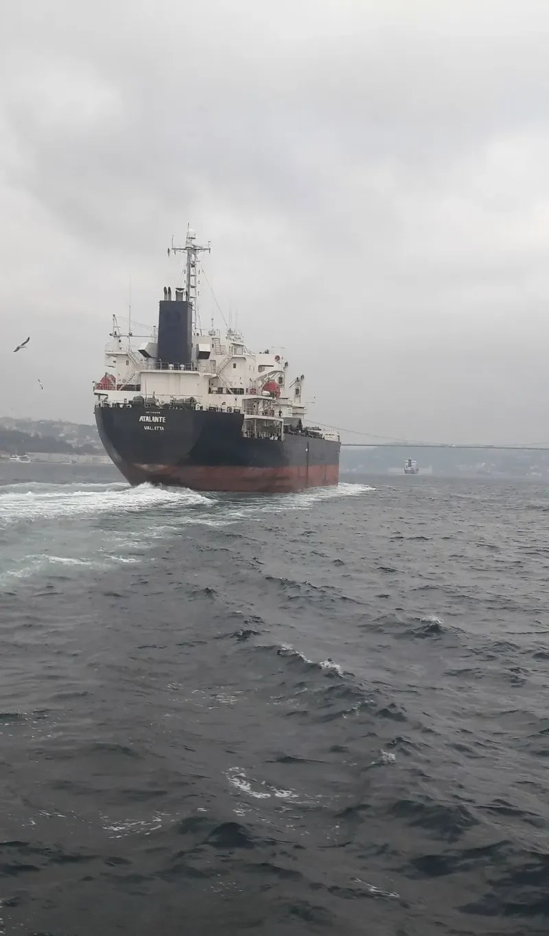 ATALANTE Bulk Carrier IMO 9363168 photo 6