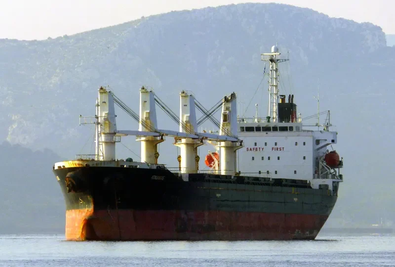 ATALANTE Bulk Carrier IMO 9363168 photo 7