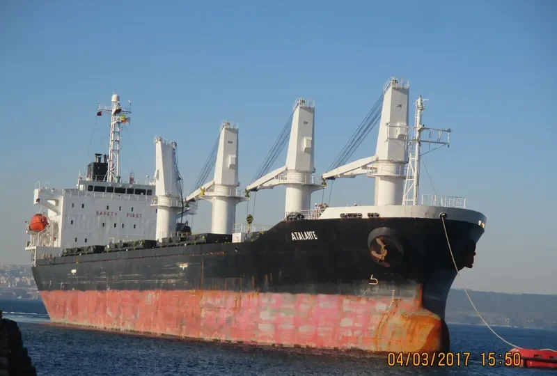 ATALANTE Bulk Carrier IMO 9363168 photo 8