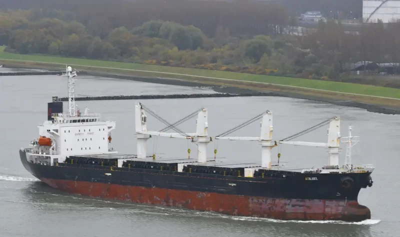 ATALANTE Bulk Carrier IMO 9363168 photo 10