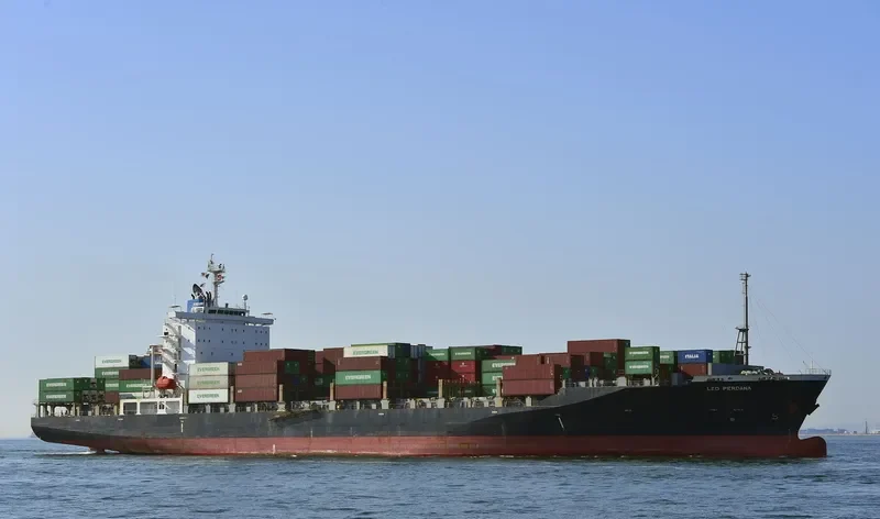 LEO PERDANA Container Ship IMO 9363390 photo 4